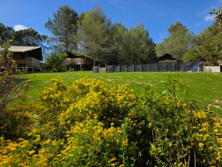 Domaine La Sauzette Carcassonne | Chambres D'Hôtes & Glamping 20250412_112402